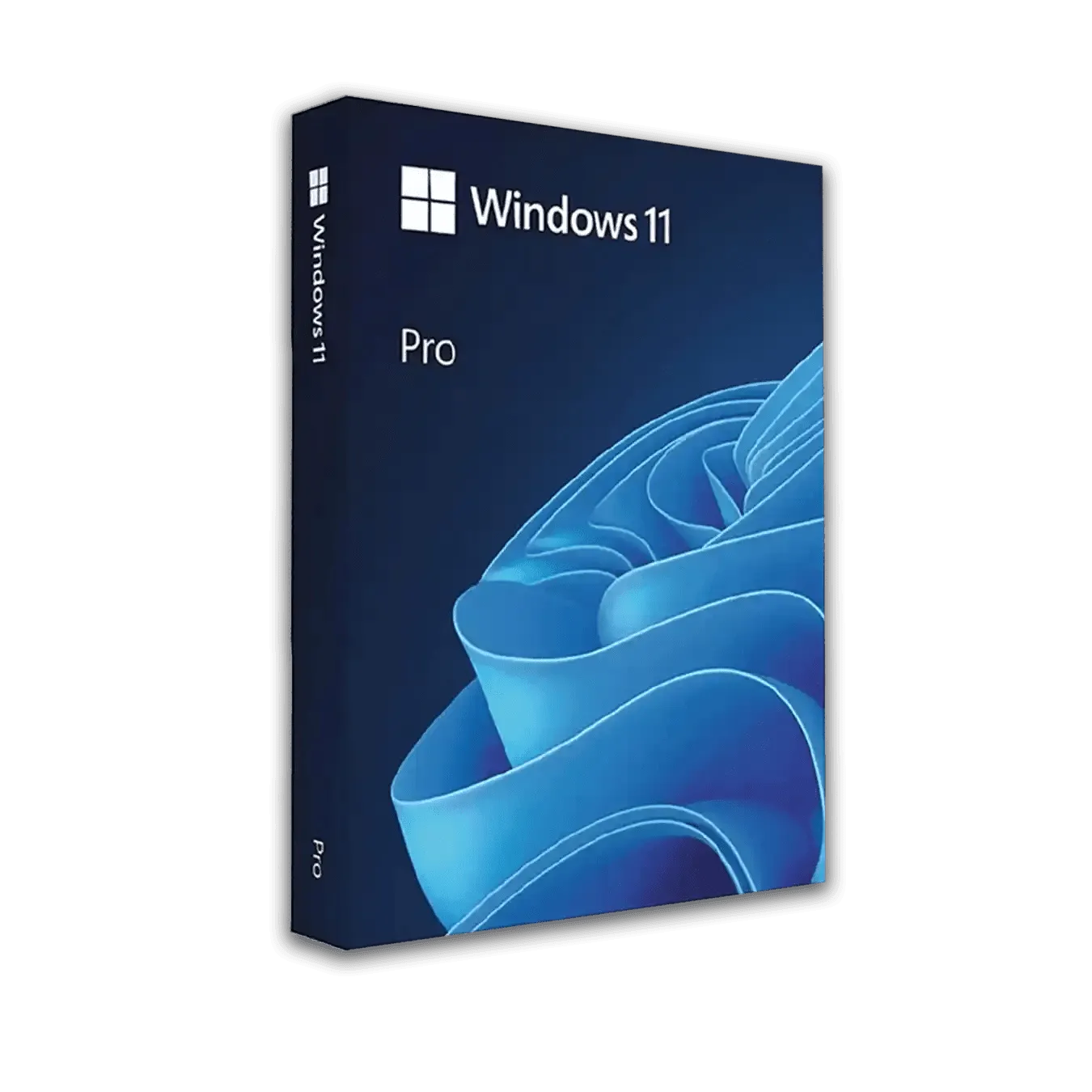 Win 11 Pro (DVD)